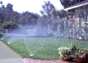 Coppell Lawn Sprinklers